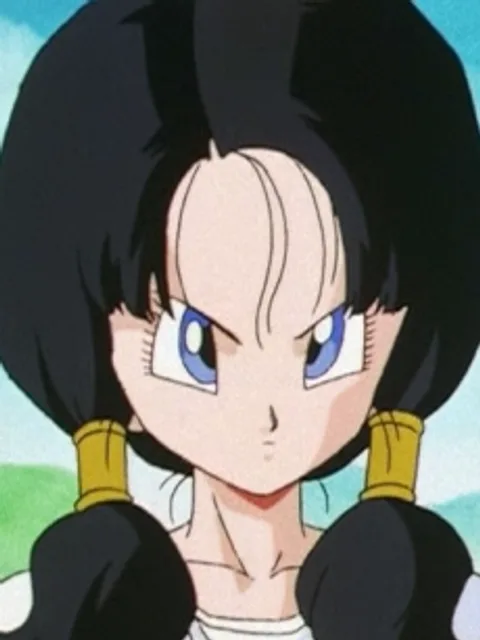 #9 Videl — Most Smashed Dragon Ball Characters